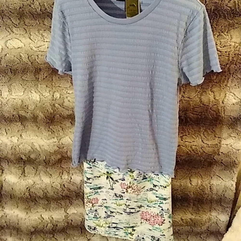 Top and Skirt